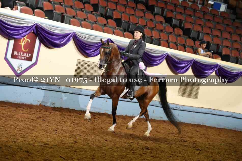 Proof 21YN_01975