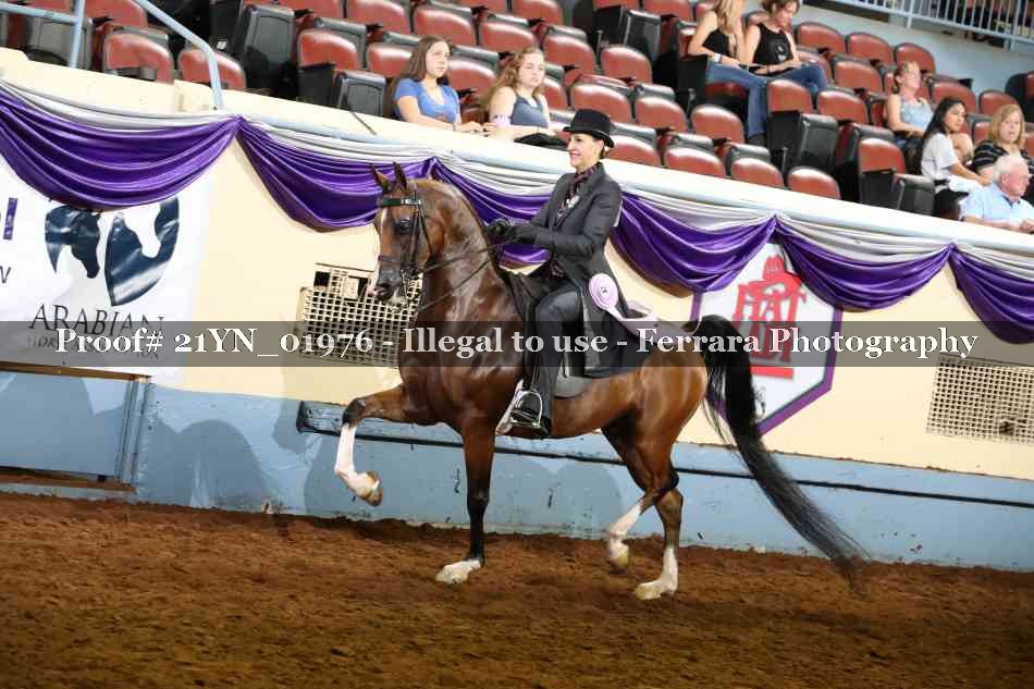 Proof 21YN_01976