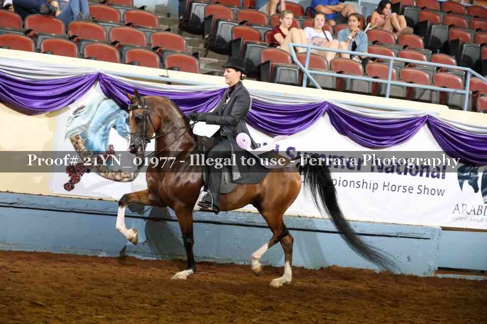Proof 21YN_01977