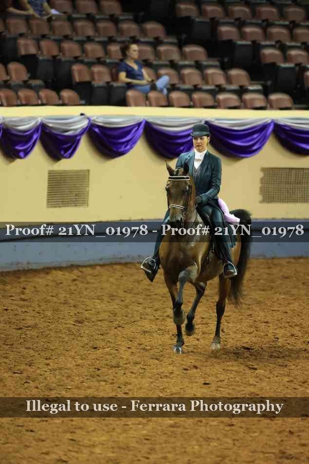 Proof 21YN_01978