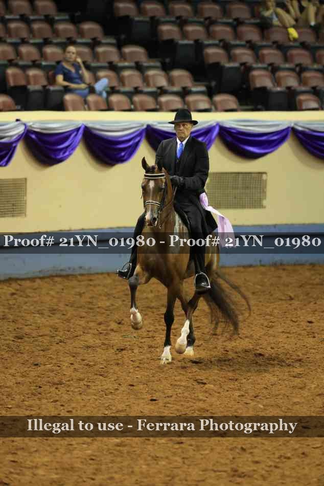 Proof 21YN_01980