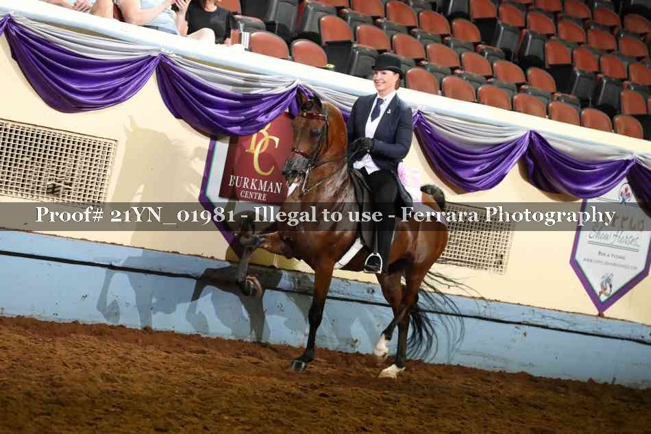 Proof 21YN_01981