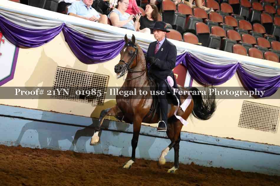 Proof 21YN_01985