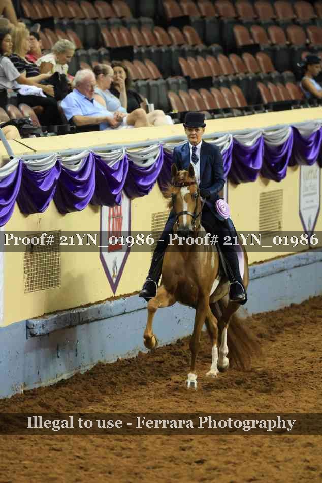 Proof 21YN_01986
