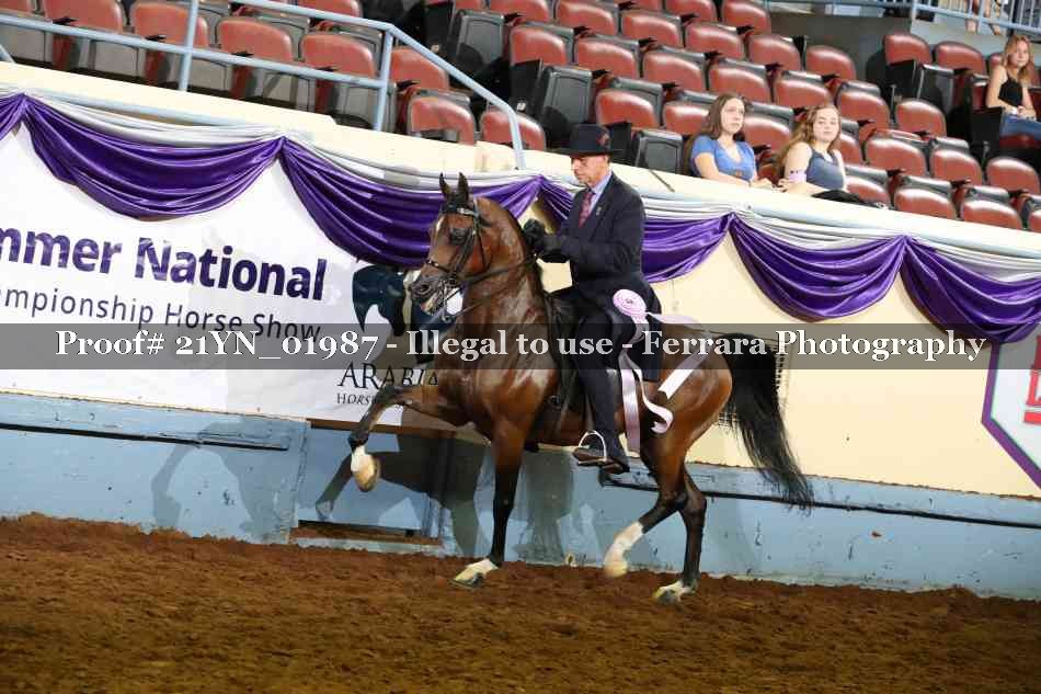 Proof 21YN_01987