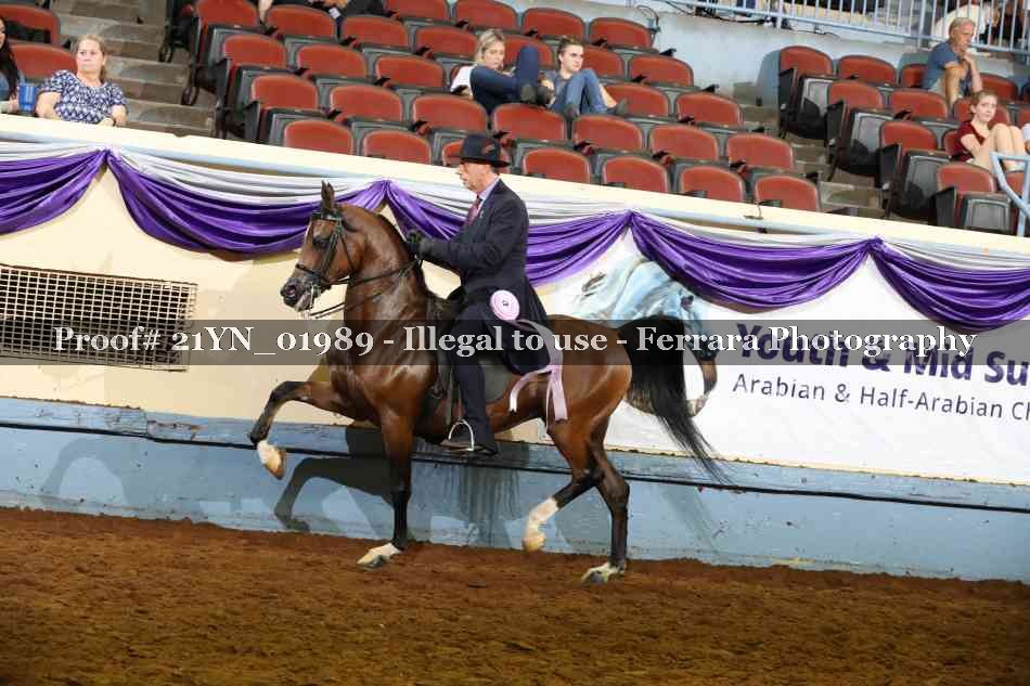 Proof 21YN_01989