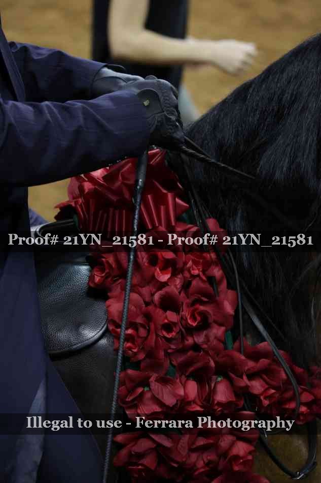 Proof 21YN_21581