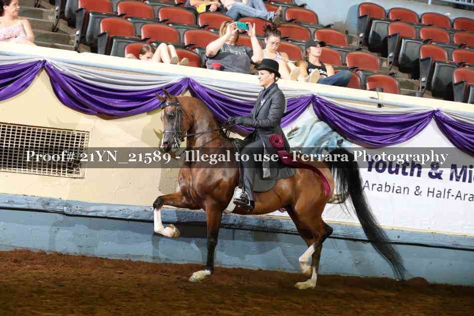 Proof 21YN_21589