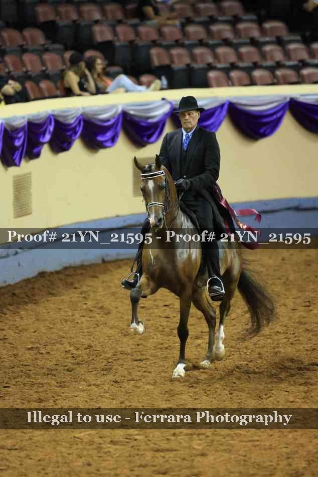 Proof 21YN_21595