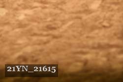 21YN_21615 proof