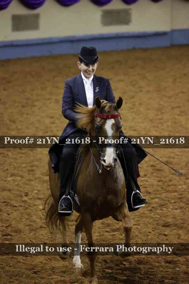 Proof 21YN_21618