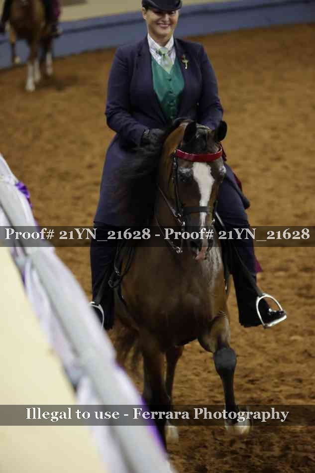 Proof 21YN_21628