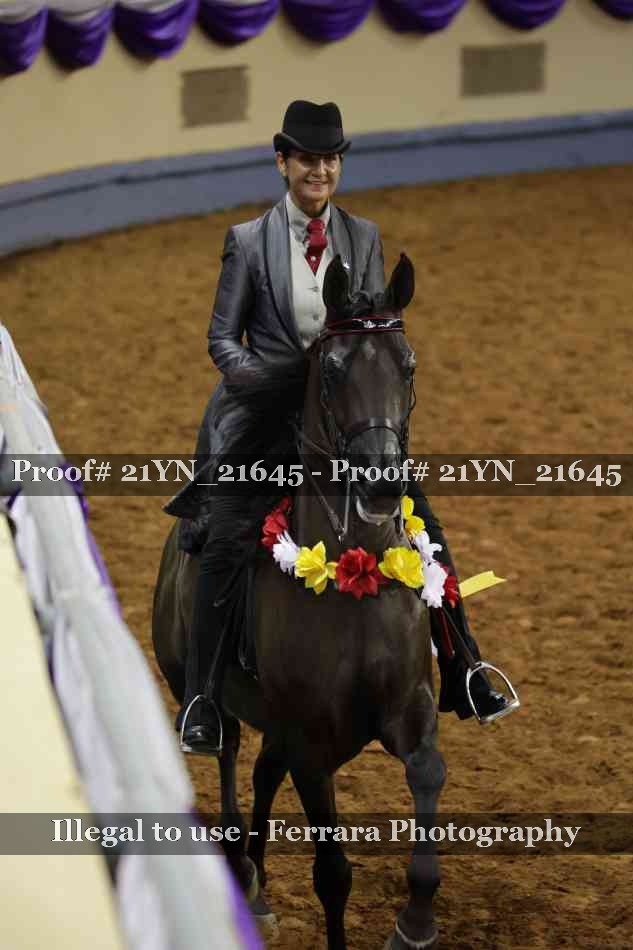 Proof 21YN_21645