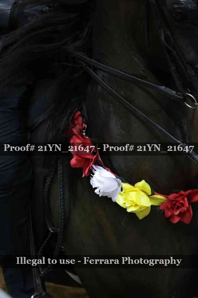 Proof 21YN_21647