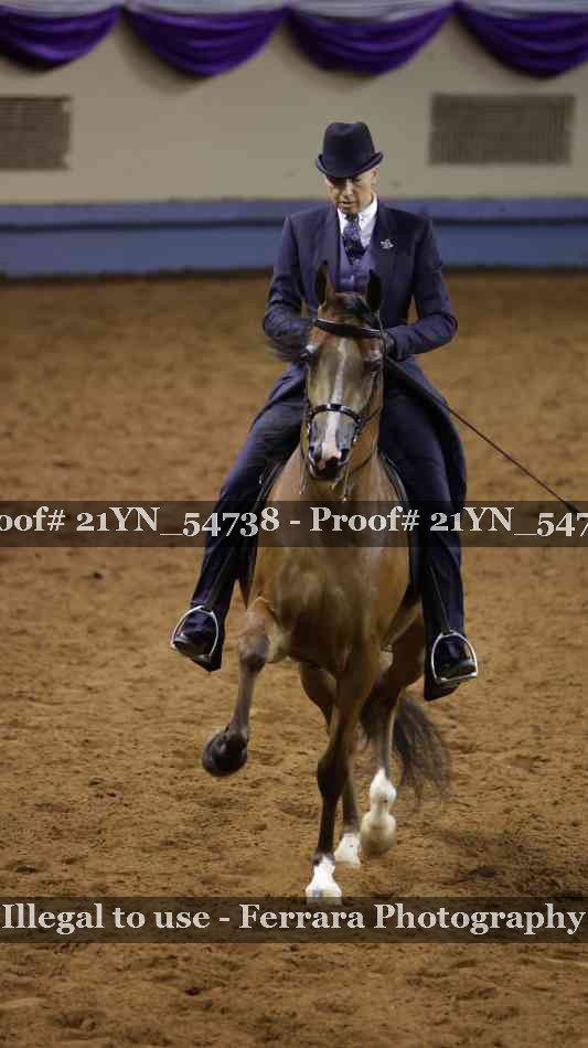 Proof 21YN_54738