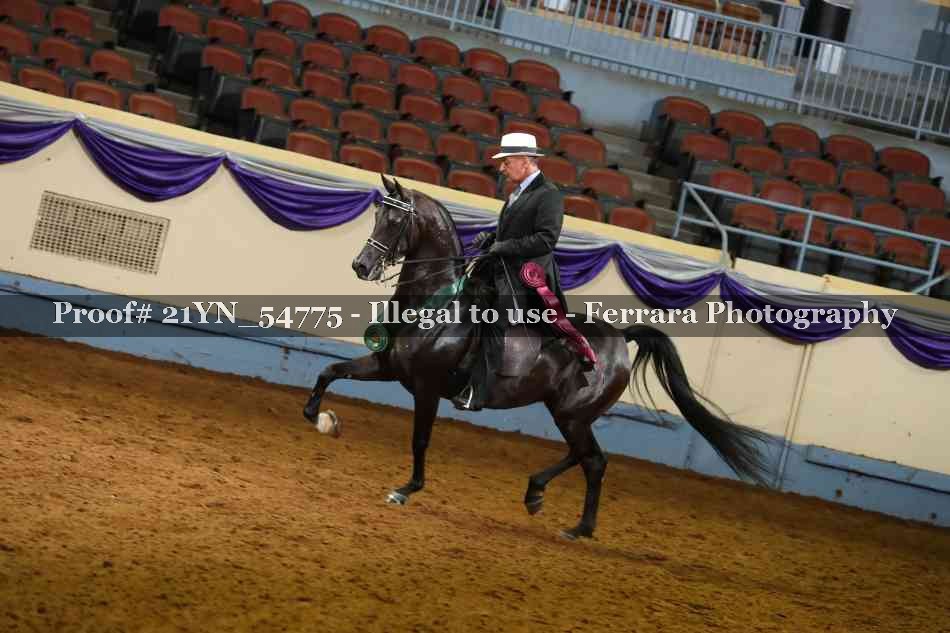 Proof 21YN_54775