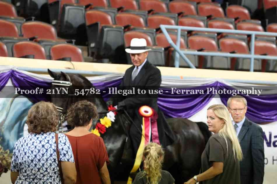 Proof 21YN_54782