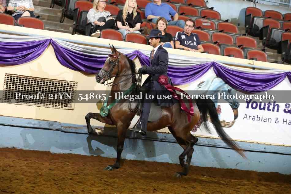 Proof 21YN_54805