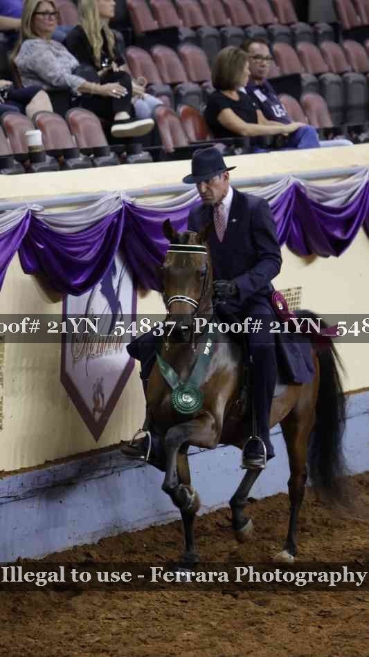 Proof 21YN_54837
