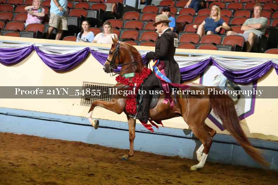 Proof 21YN_54855