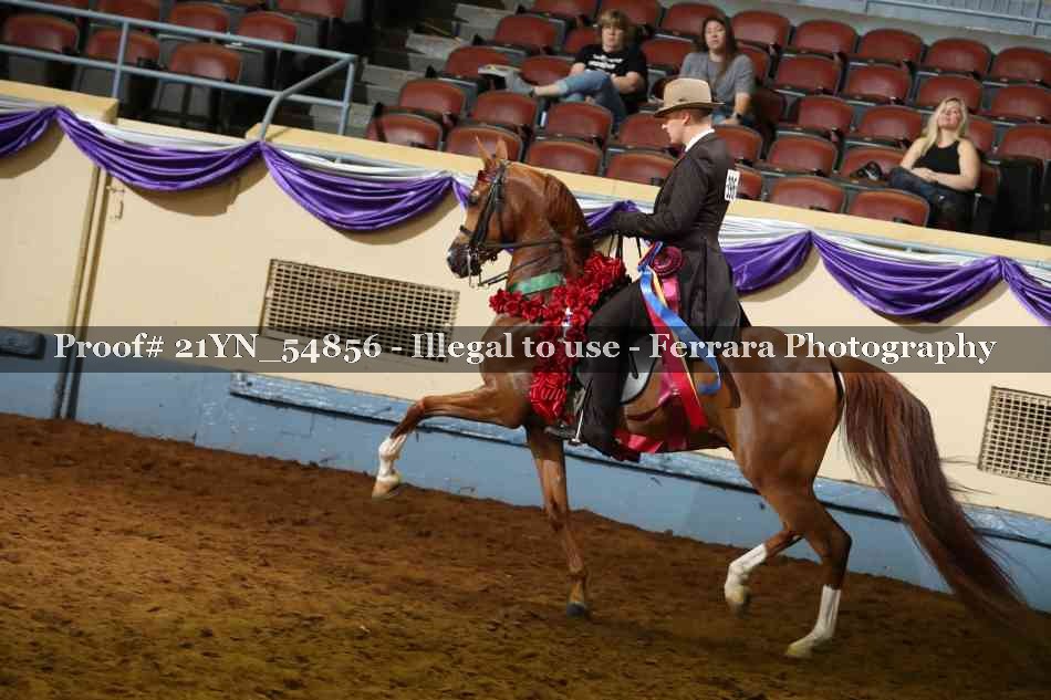 Proof 21YN_54856