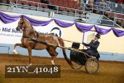21YN_41048 proof