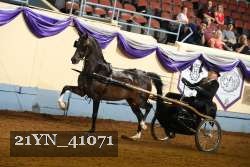 21YN_41071 proof