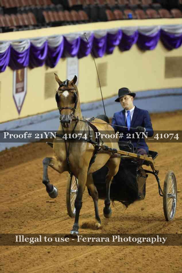 Proof 21YN_41074