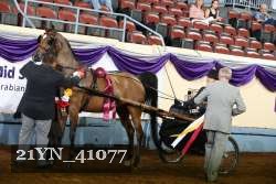 21YN_41077 proof
