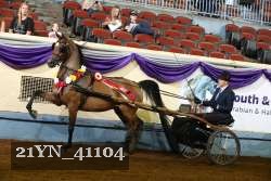 21YN_41104 proof