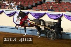 21YN_41112 proof