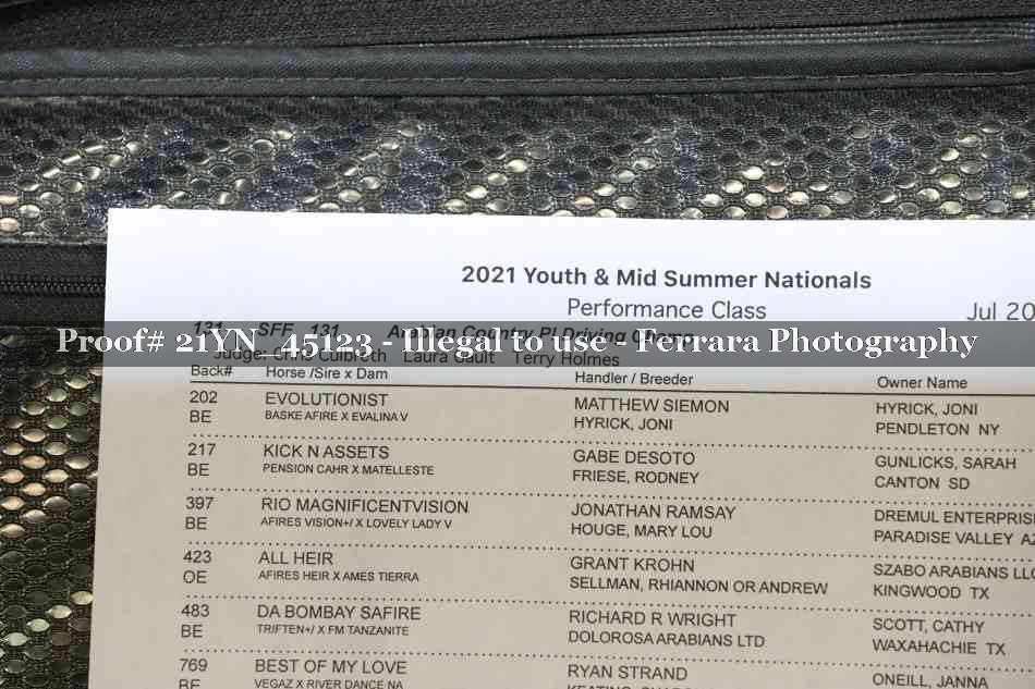 Proof 21YN_45123