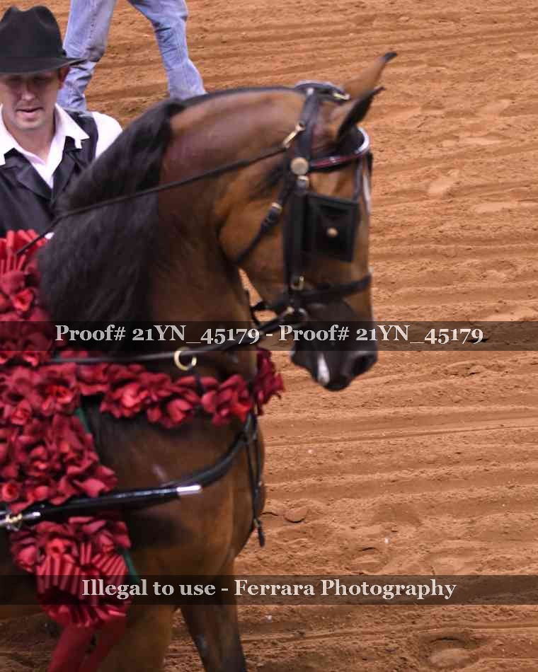 Proof 21YN_45179