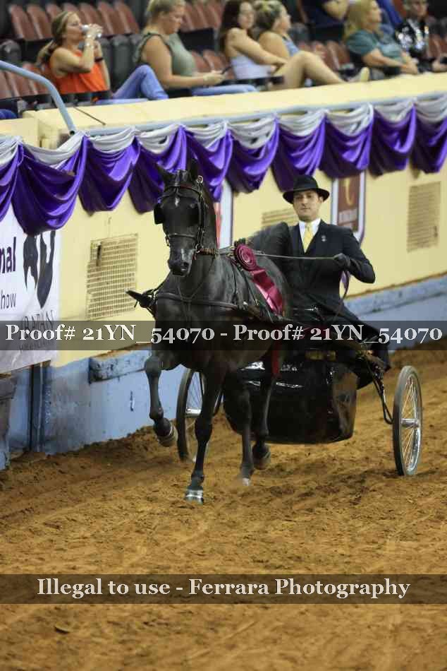 Proof 21YN_54070