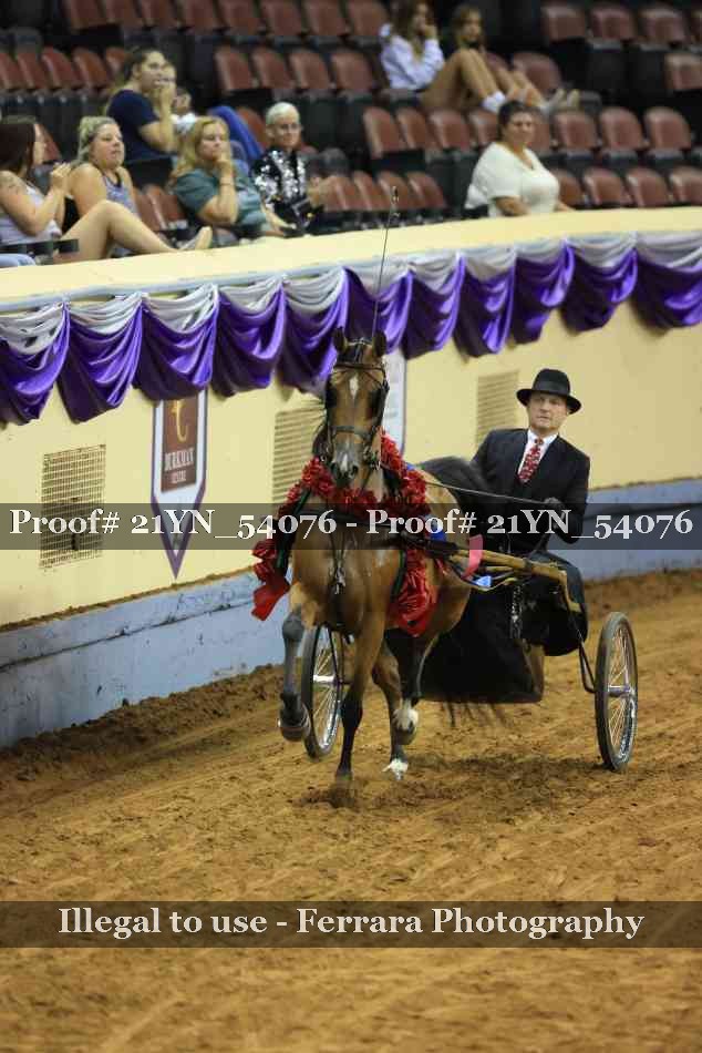 Proof 21YN_54076