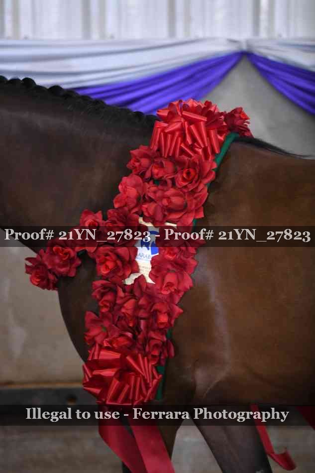 Proof 21YN_27823