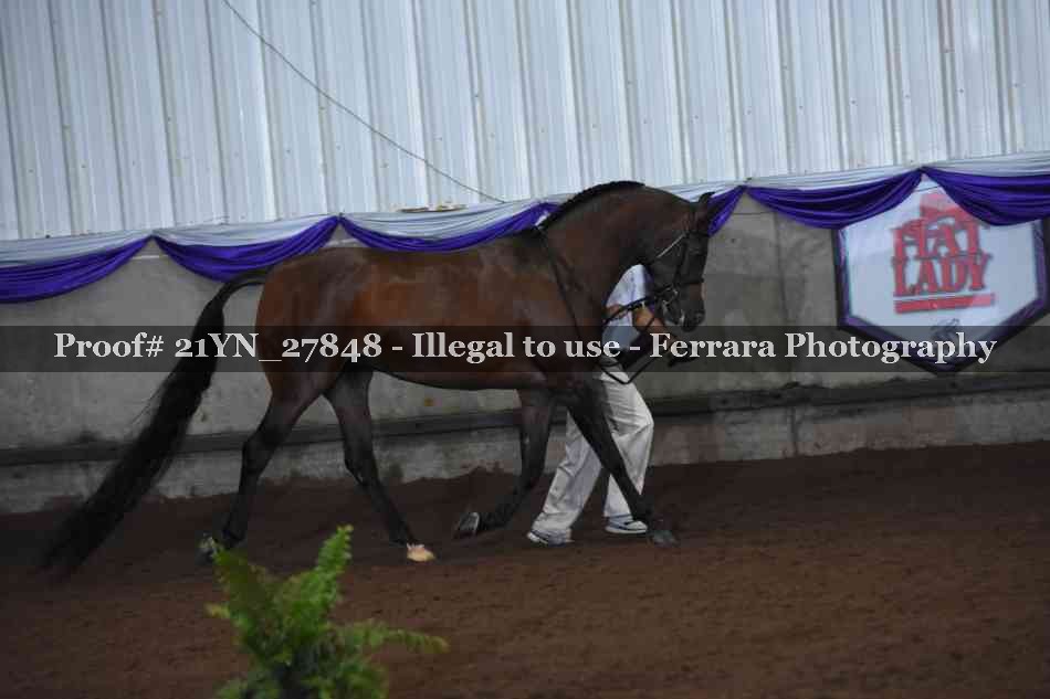 Proof 21YN_27848