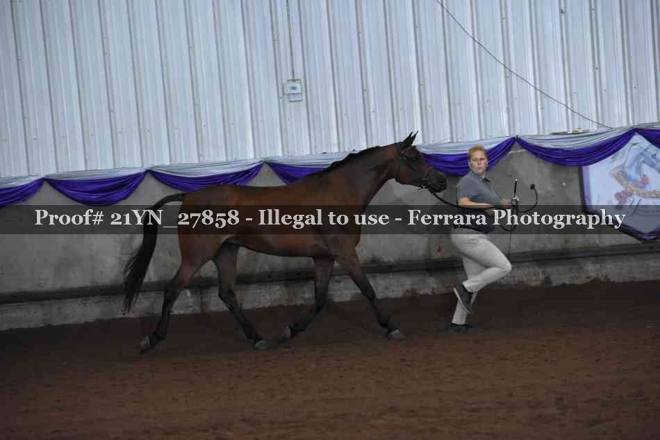 Proof 21YN_27858