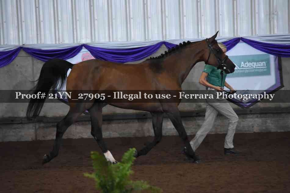 Proof 21YN_27905