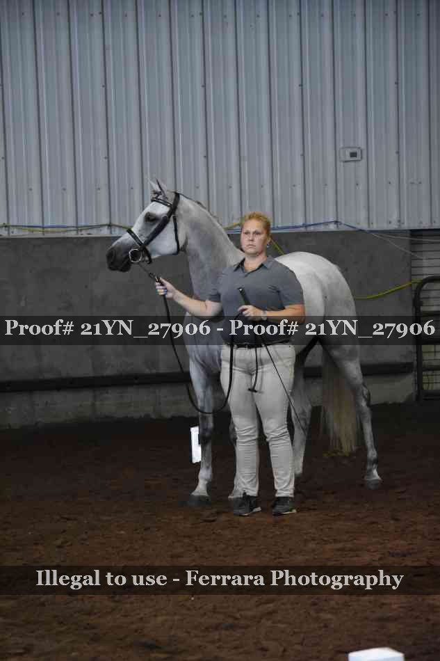 Proof 21YN_27906