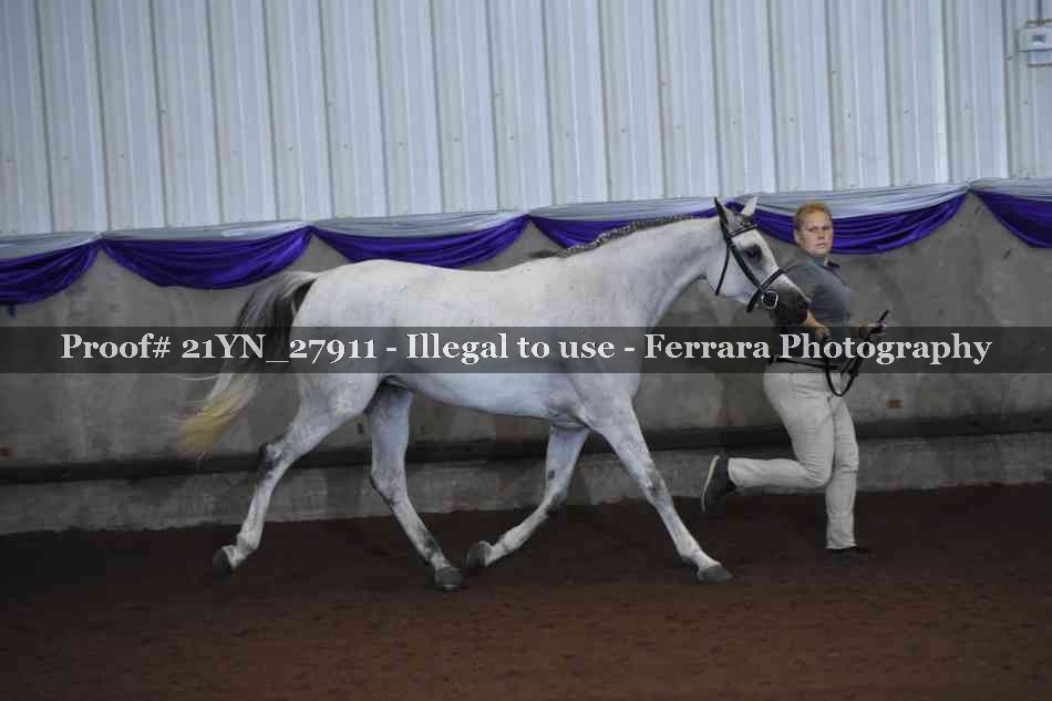 Proof 21YN_27911