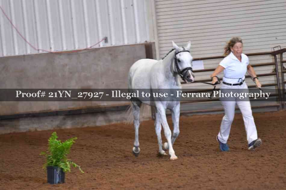 Proof 21YN_27927