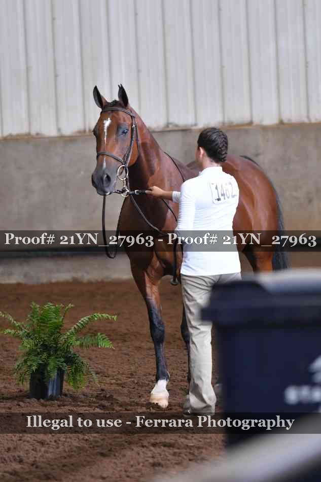 Proof 21YN_27963