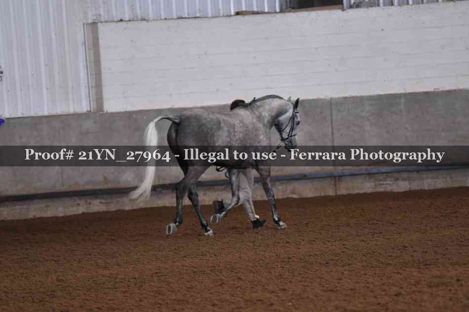 Proof 21YN_27964