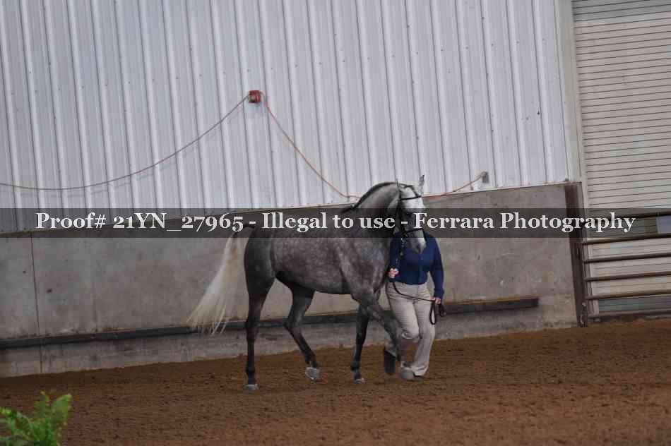 Proof 21YN_27965