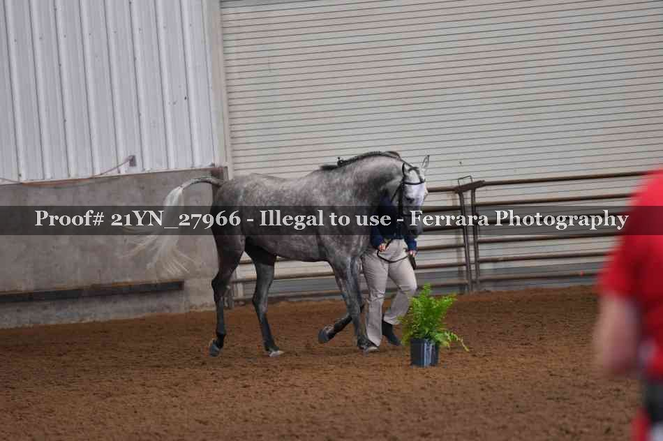 Proof 21YN_27966