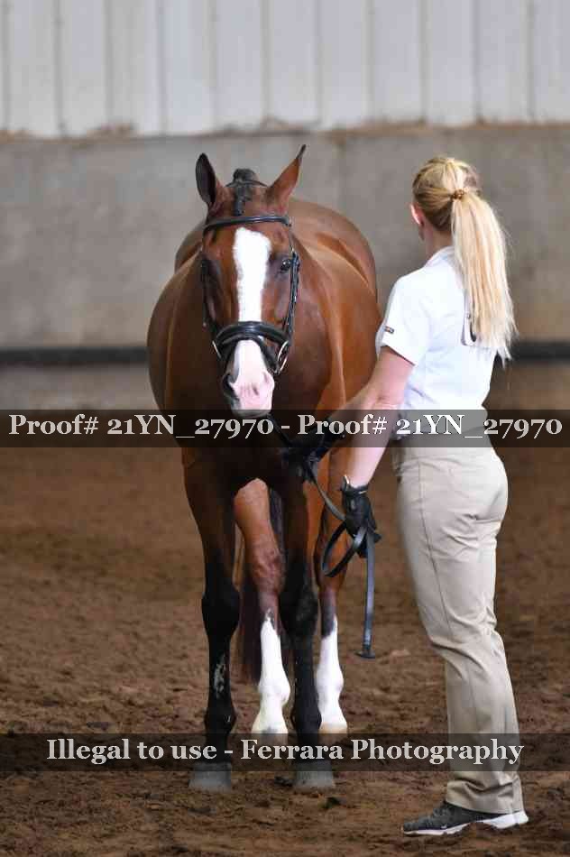 Proof 21YN_27970
