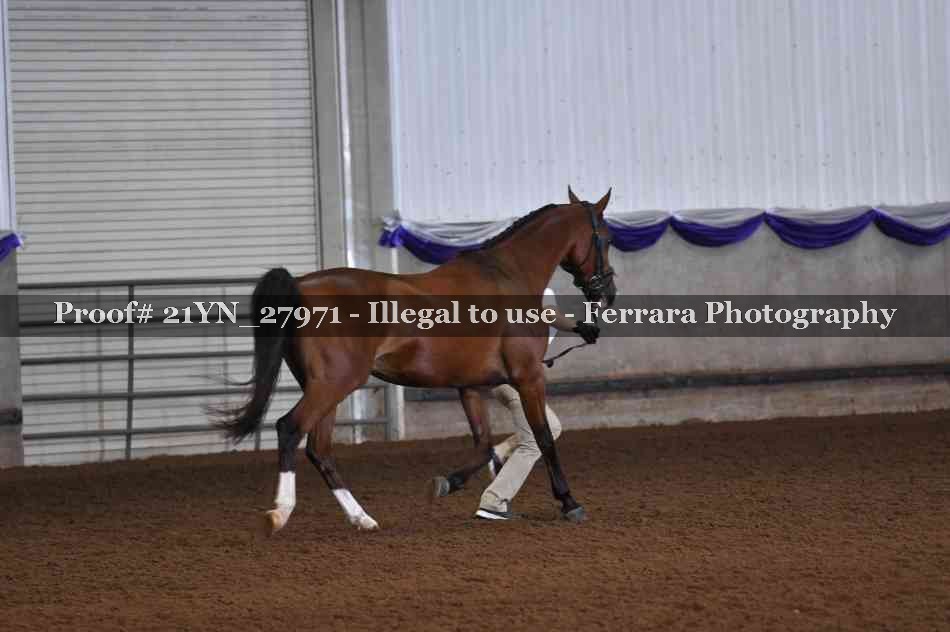 Proof 21YN_27971