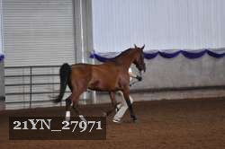 21YN_27971 proof