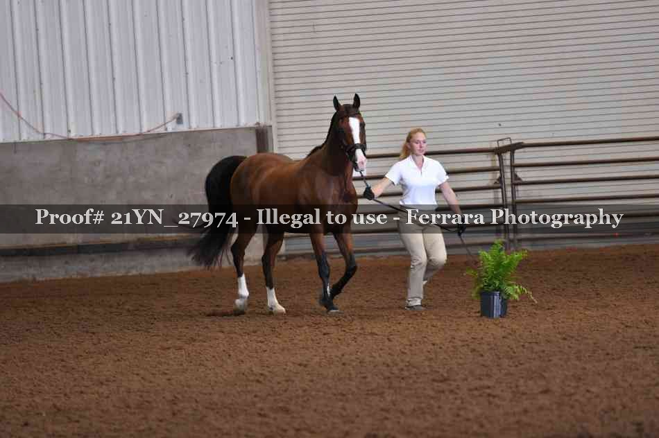 Proof 21YN_27974